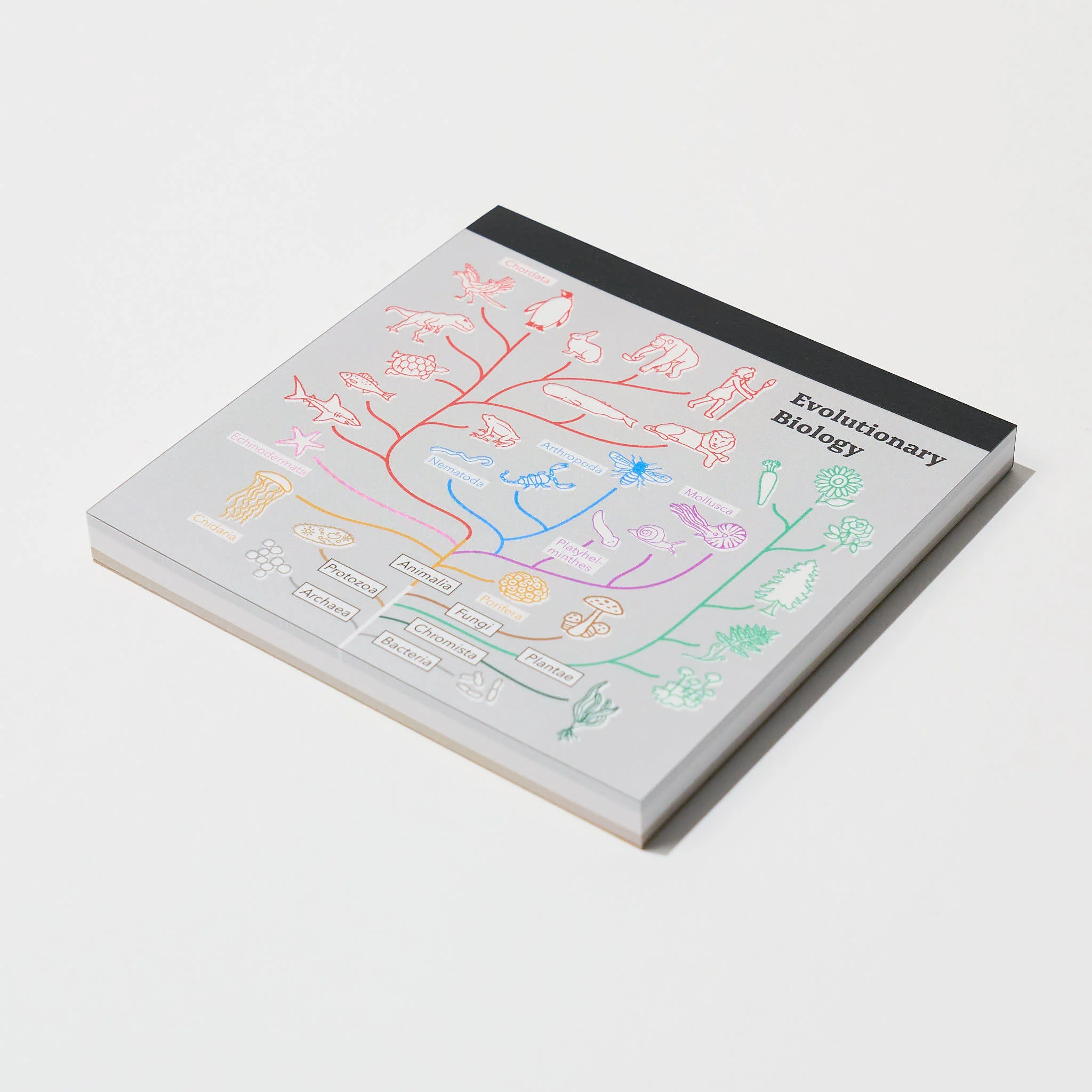 Product image 37